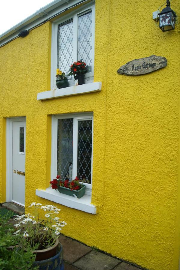 Apple Cottage Brynamman Exterior foto